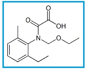 Acetochlor Oxoacetic Acid